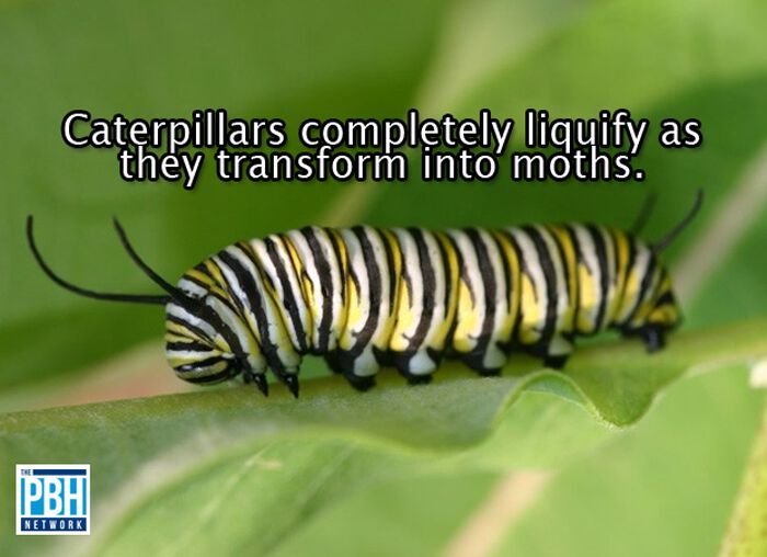 100件有趣的事,100个有趣的生活小事