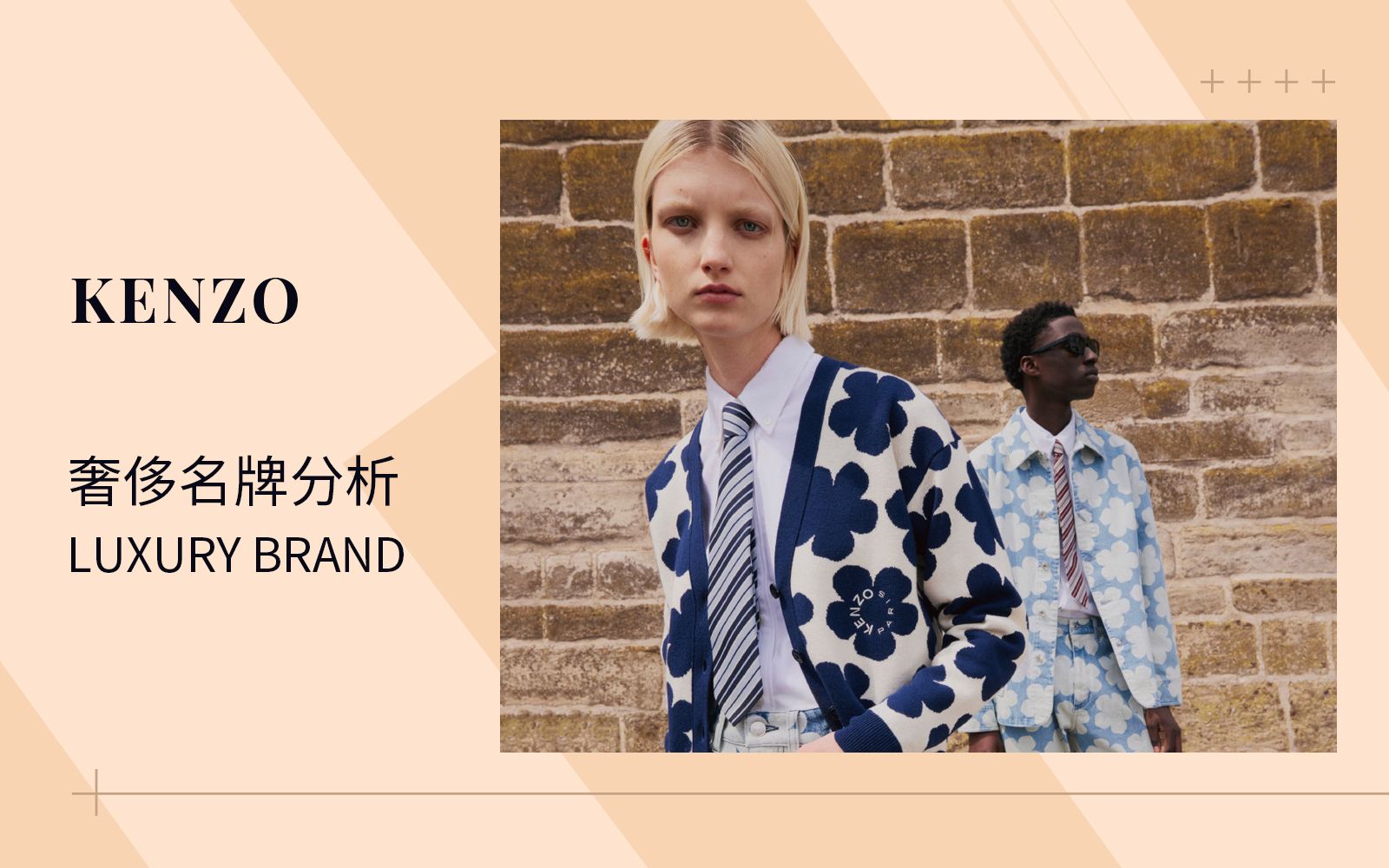 pop服装趋势家居服,pop服装趋势网怎么样