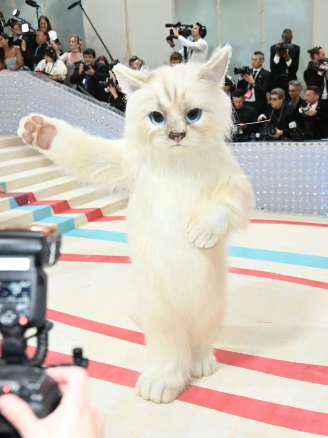 今年的时尚界年度奥斯卡,时尚奥斯卡metgala