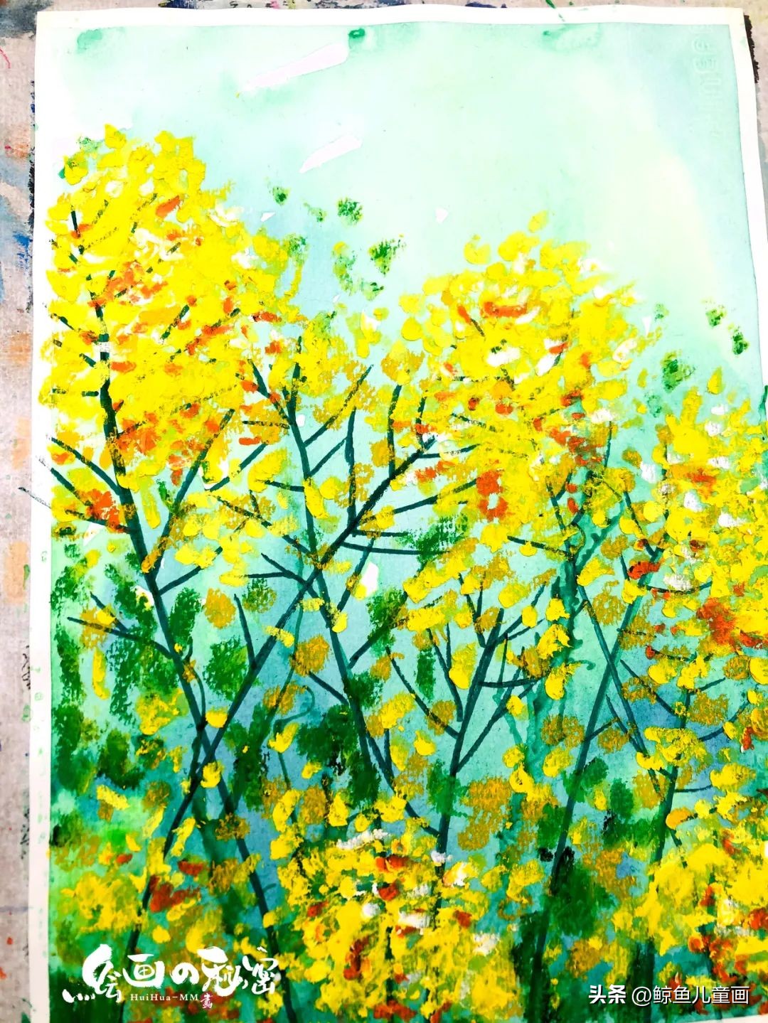 油菜花什么时候开,油菜花怎么拍照好看