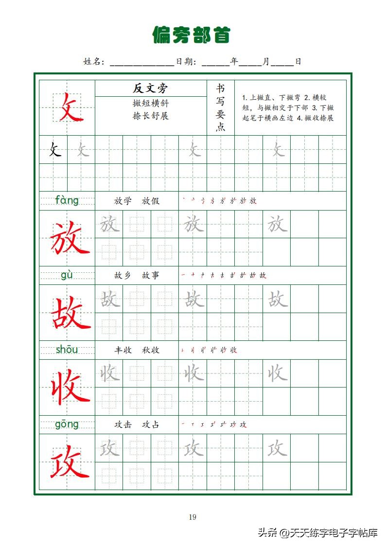 偏旁部首硬笔书法字帖电子版,基本笔画和偏旁部首标准字帖