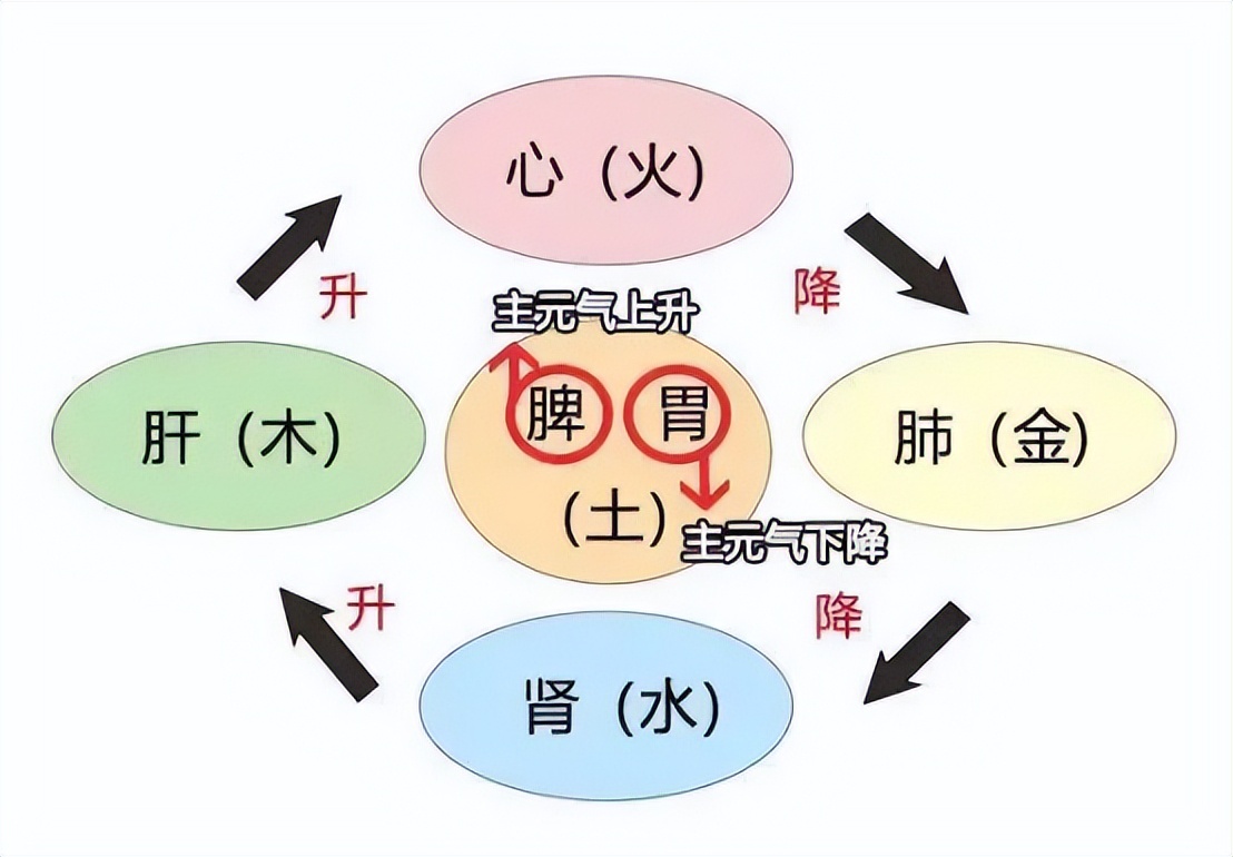 神经紊乱头痛的症状,失眠多梦头痛怎么治