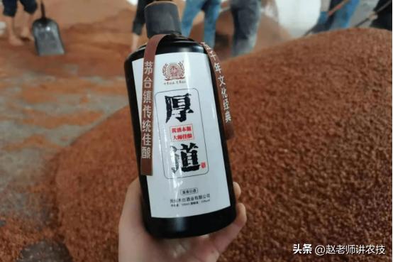 原浆酒好不好搞,为什么原浆酒难喝