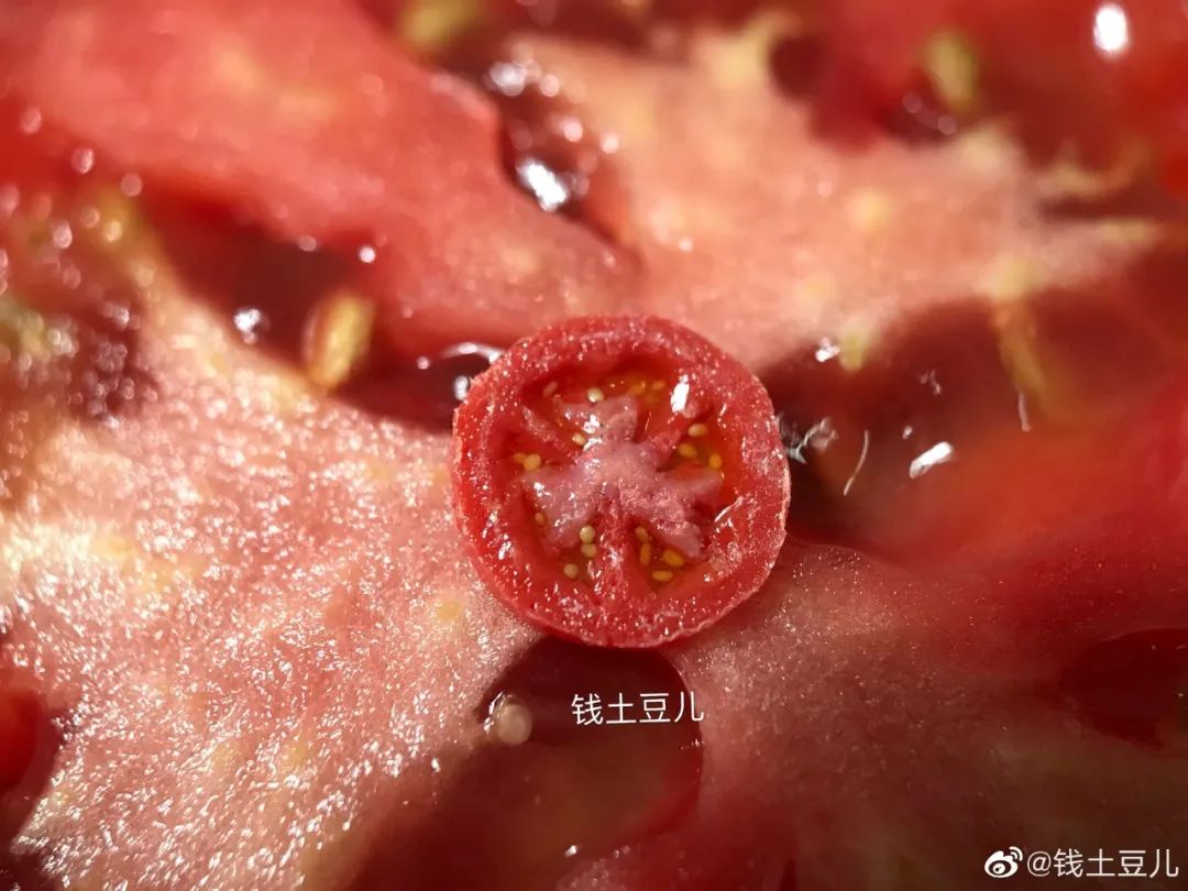 90后妈妈因造假走红,网红辣妈骗局