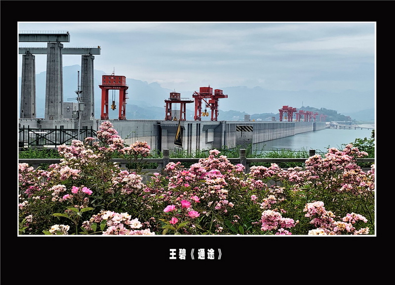 “喜迎*党**的二十大，巾帼老兵抒豪情”诗书画摄影电脑作品展