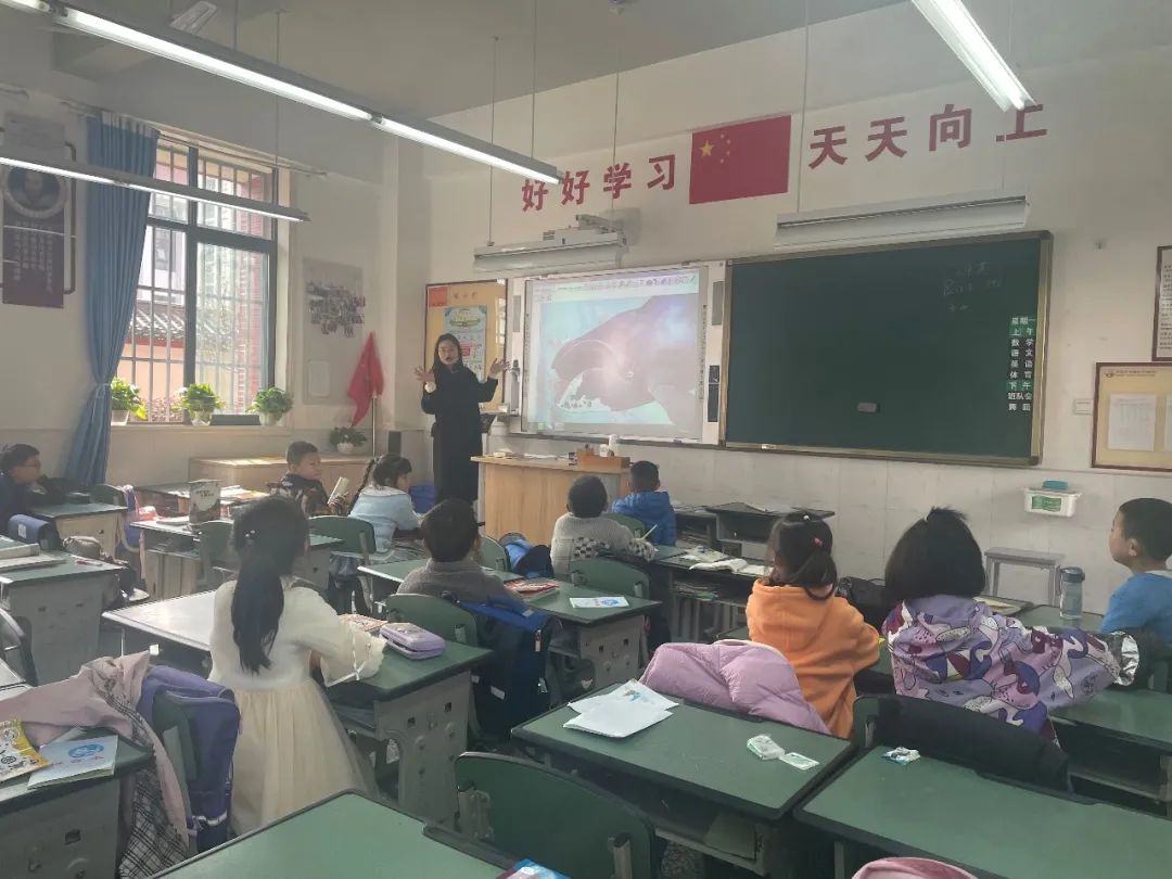 遇见周末济南,双流棠湖小学南区放学后托管