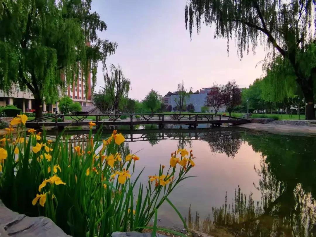 对外经济贸易大学2019研究生录取,对外经济贸易大学研究生录取名单