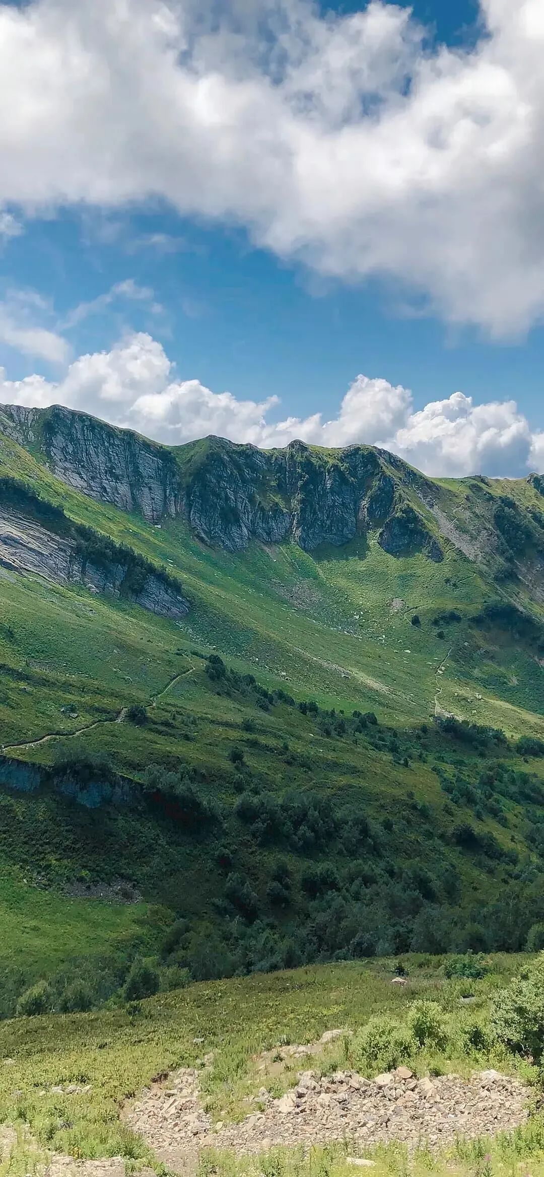 100张全屏绿色山水护眼壁纸,2021超清绿色护眼壁纸风景