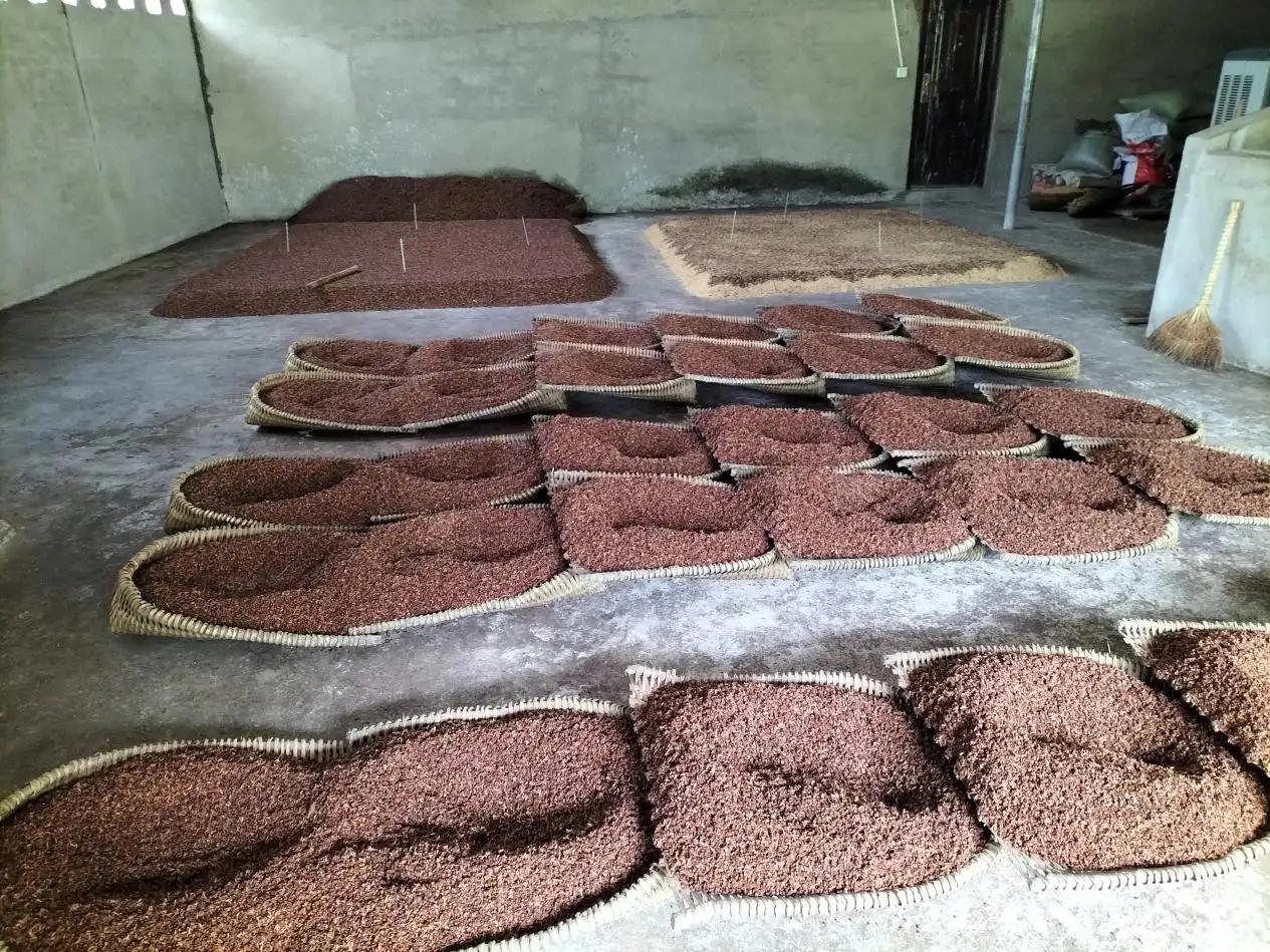 买白酒记住这个口诀,买浓香型白酒