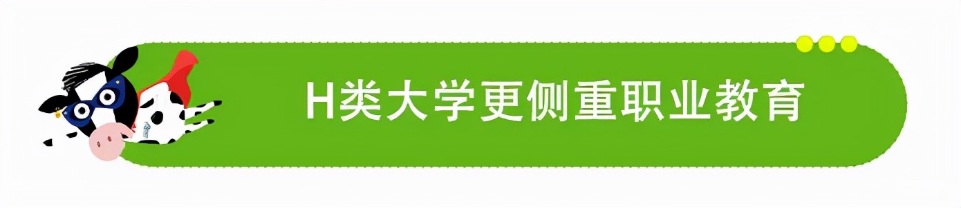 荷兰H类大学是“野鸡大学”？别闹了......