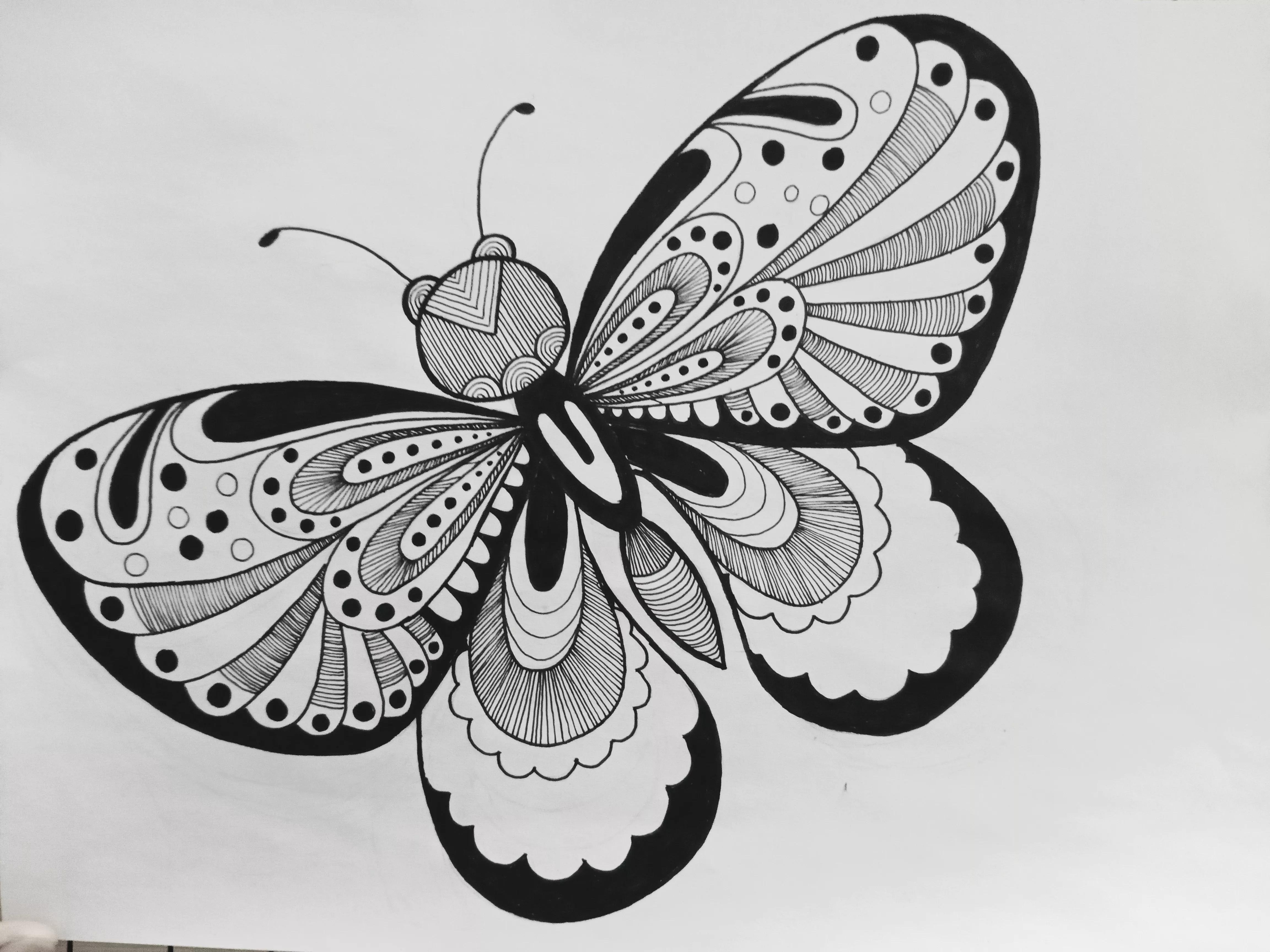 蝴蝶线描画绘画过程,绘画蝴蝶教程线描画