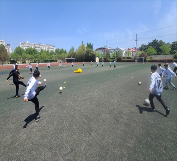 足球脚外侧踢球教学设计ppt,足球的踢球教学设计