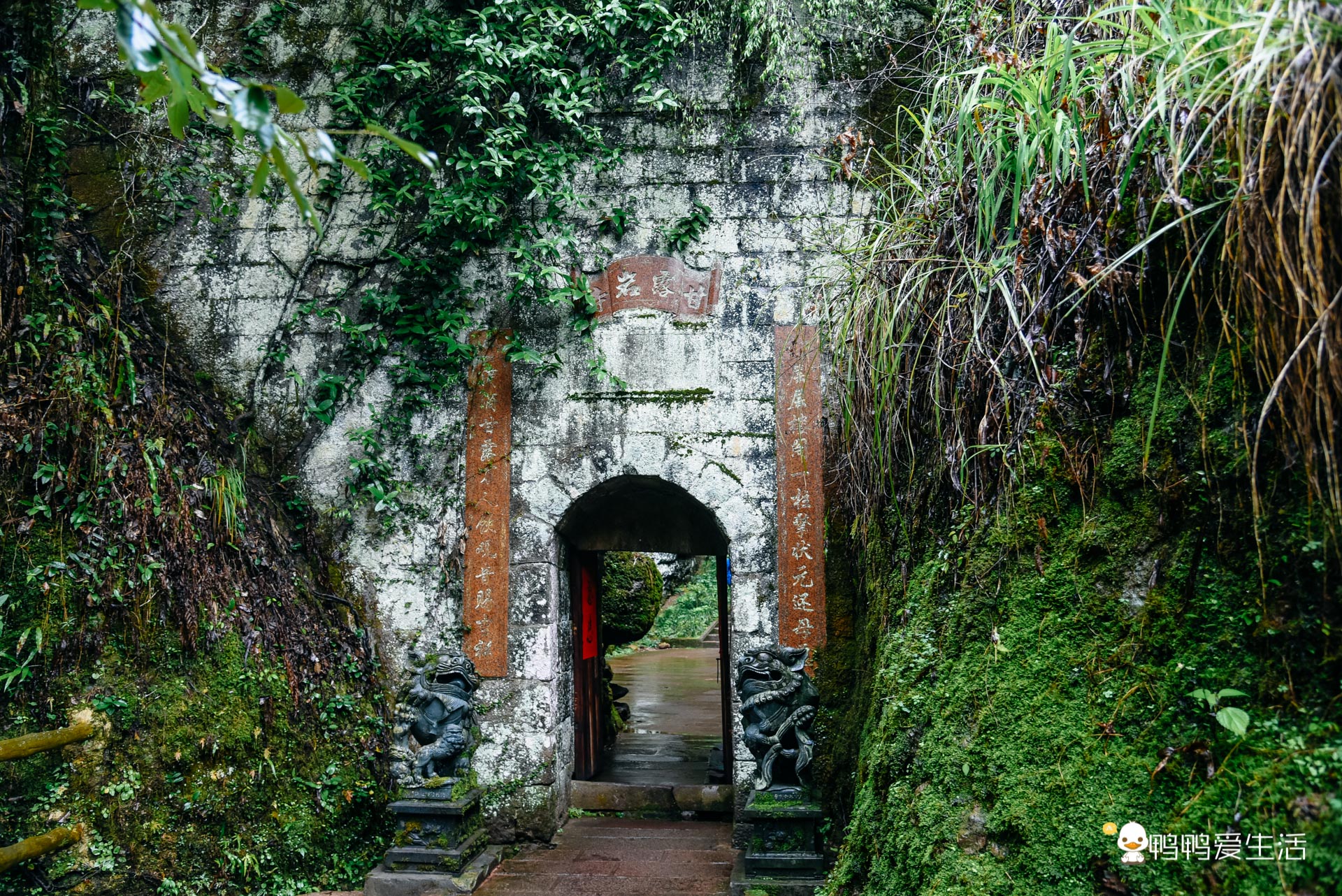 甘露岩寺一根柱子支撑900年,泰宁甘露寺供奉的佛像