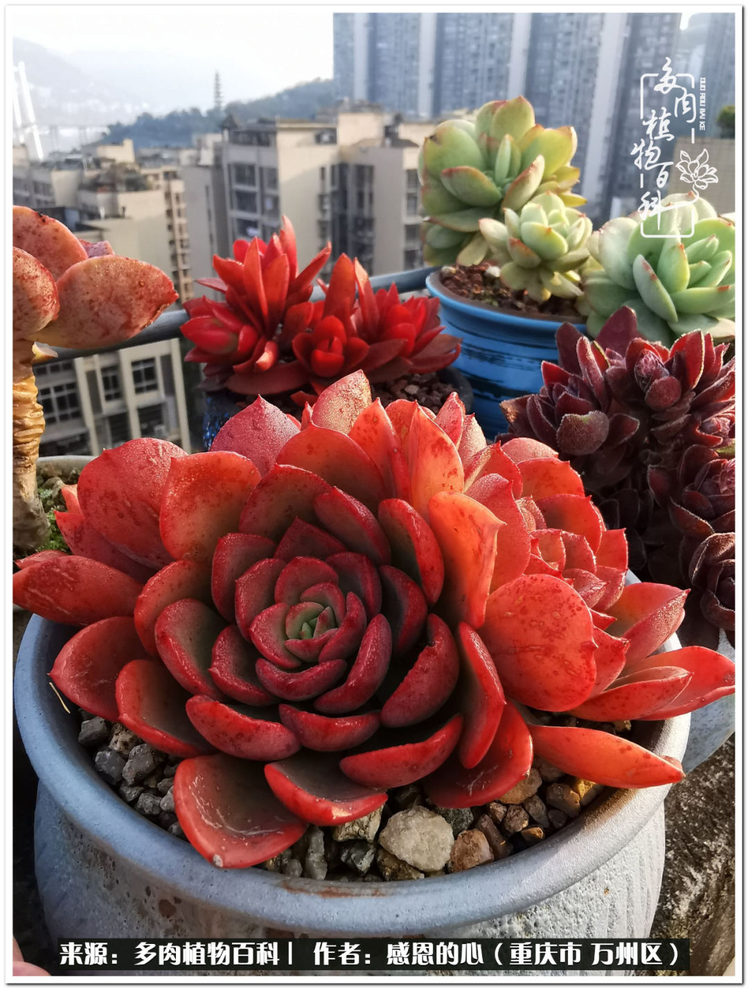 那些不经意却很惊艳的瞬间,不经意间惊艳了时光