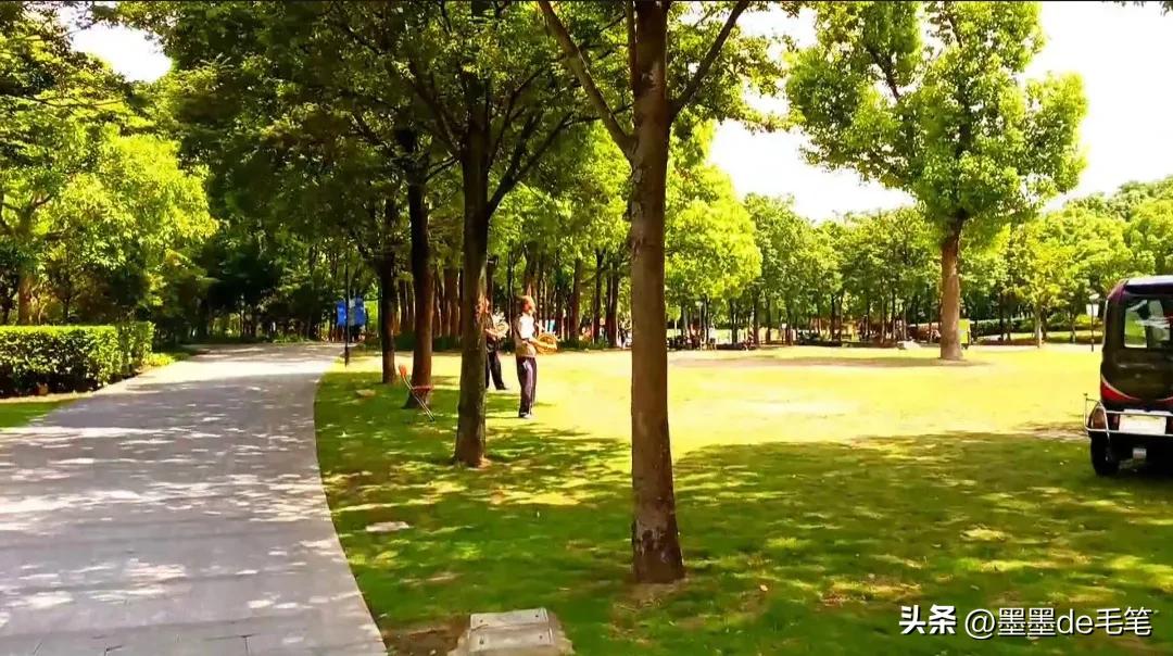 上海南京路网红打卡景点,上海景点网红街免费打卡圣地