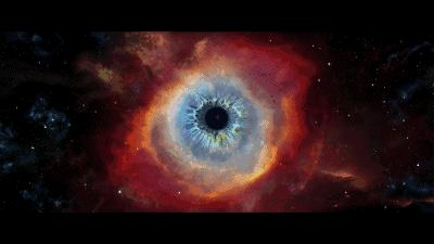 提高认知增长知识的高分纪录片,孩子必看的5部纪录片