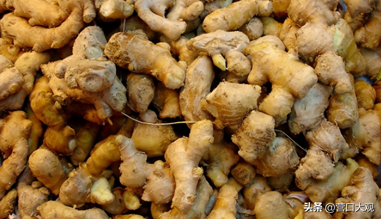 盖州市带货直播,盖州特产电商直播