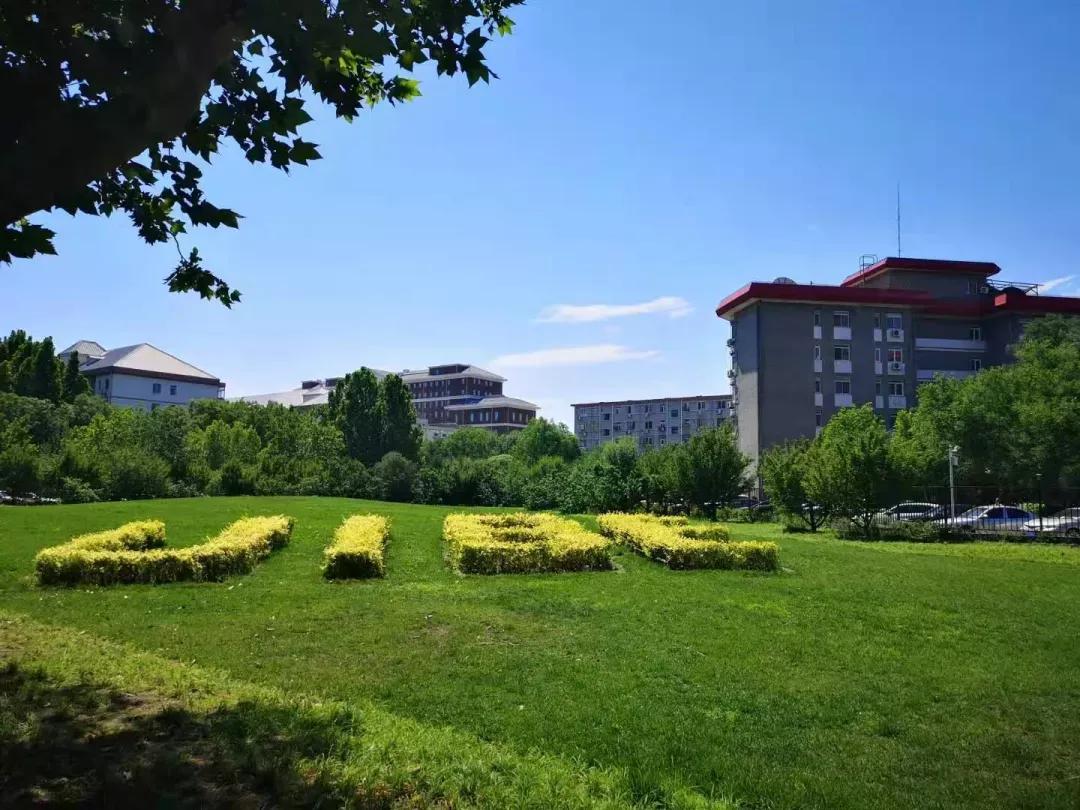 对外经济贸易大学2019研究生录取,对外经济贸易大学研究生录取名单