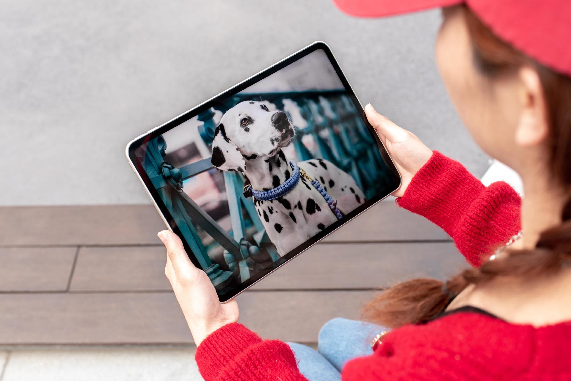 oppopad2有什么优势,oppopad2什么时候买最好