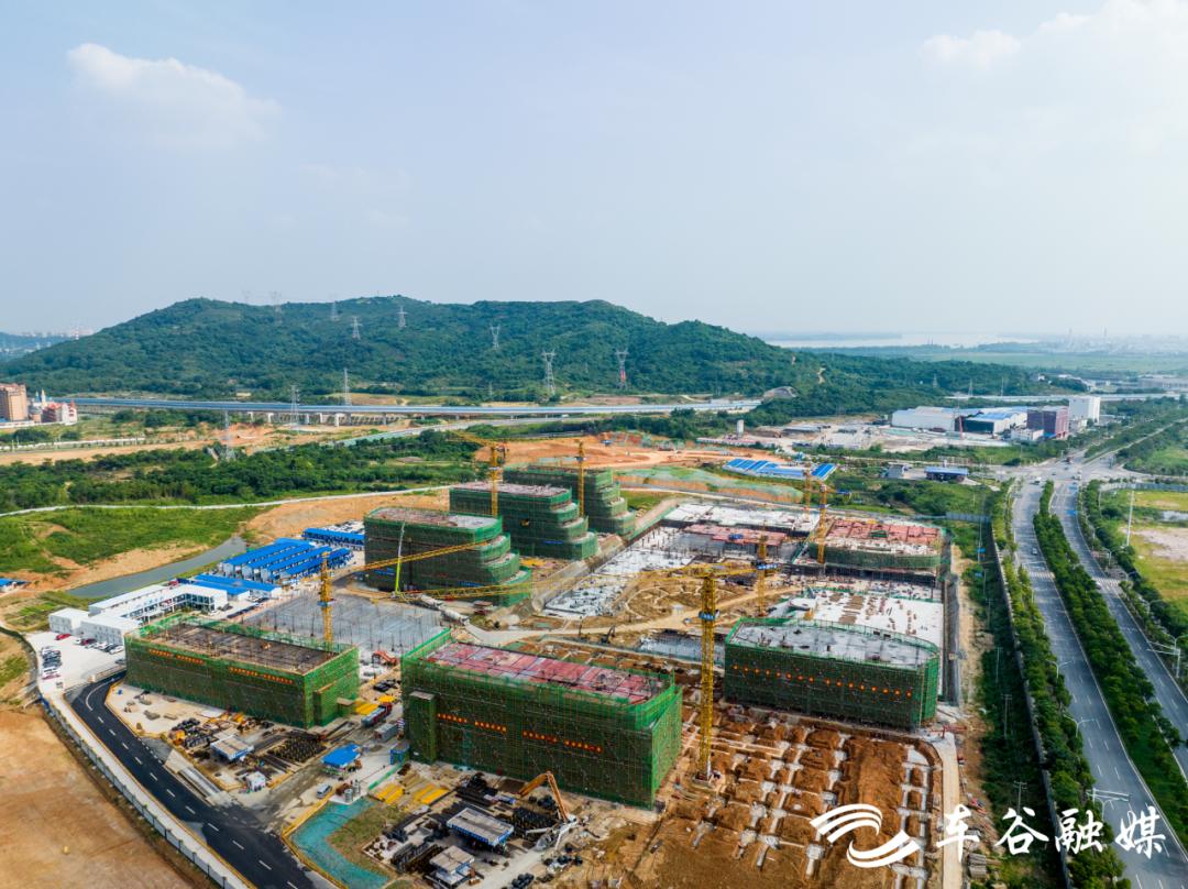 武汉理工大学扩建,理工大三院建设进展