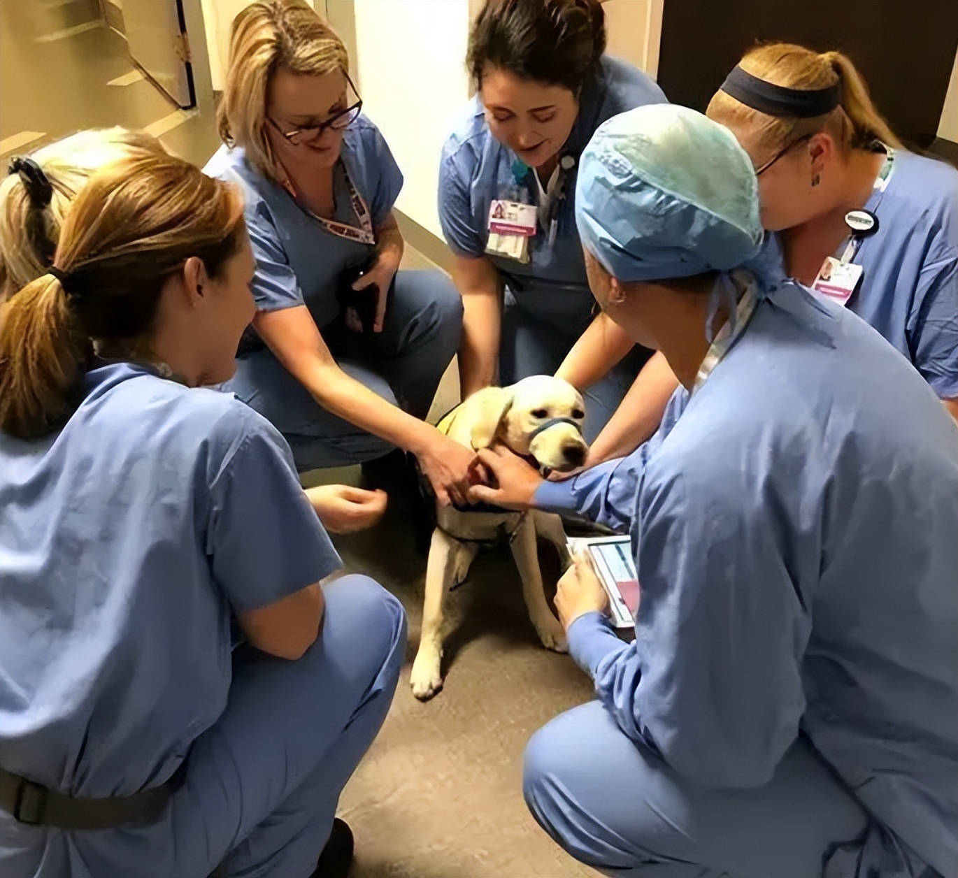 幽灵男孩马丁怎么回事,幽灵男孩马丁