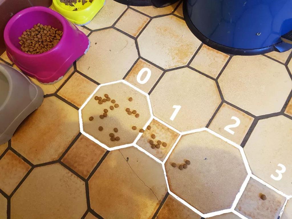 猫=图灵机？4项测试证明，「猫猫计算机」可执行任意计算