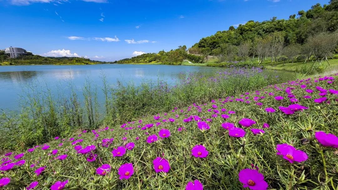 御临河畔一期,龙兴国际生态新城御临河