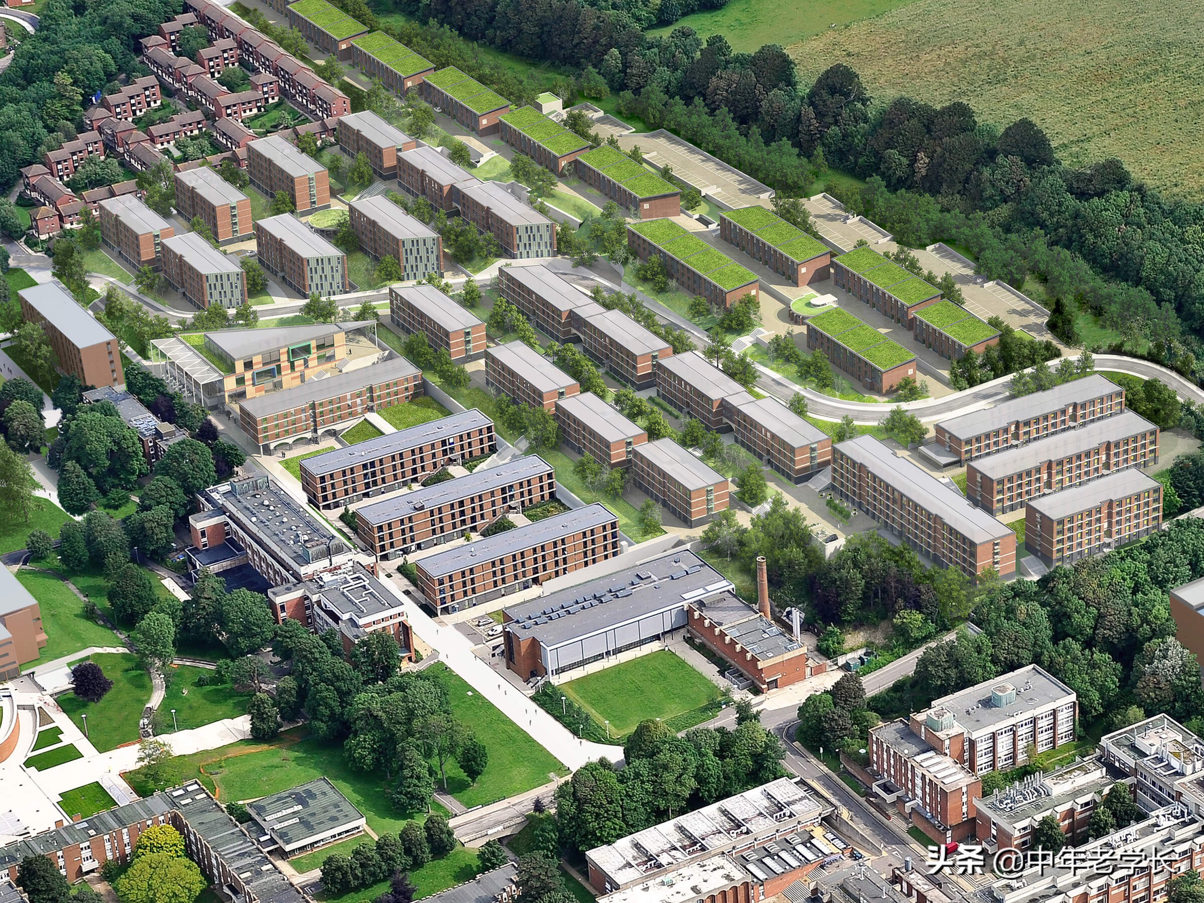 英国萨塞克斯大学在国内算985吗,英国院校百科