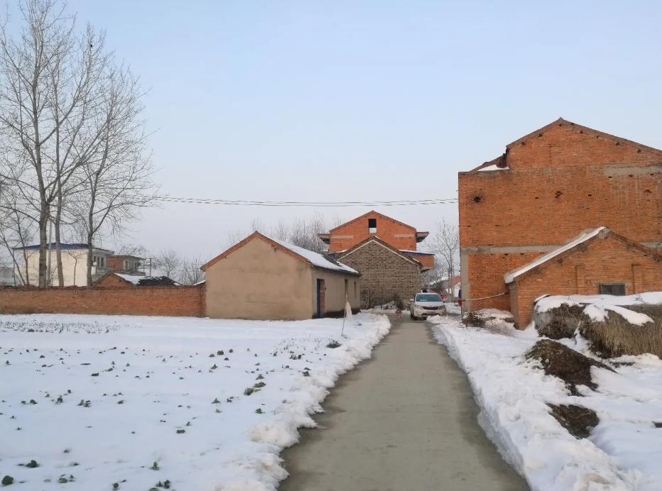 进入冬季数九哪几个九最冷,什么时候开始数九今年最冷的