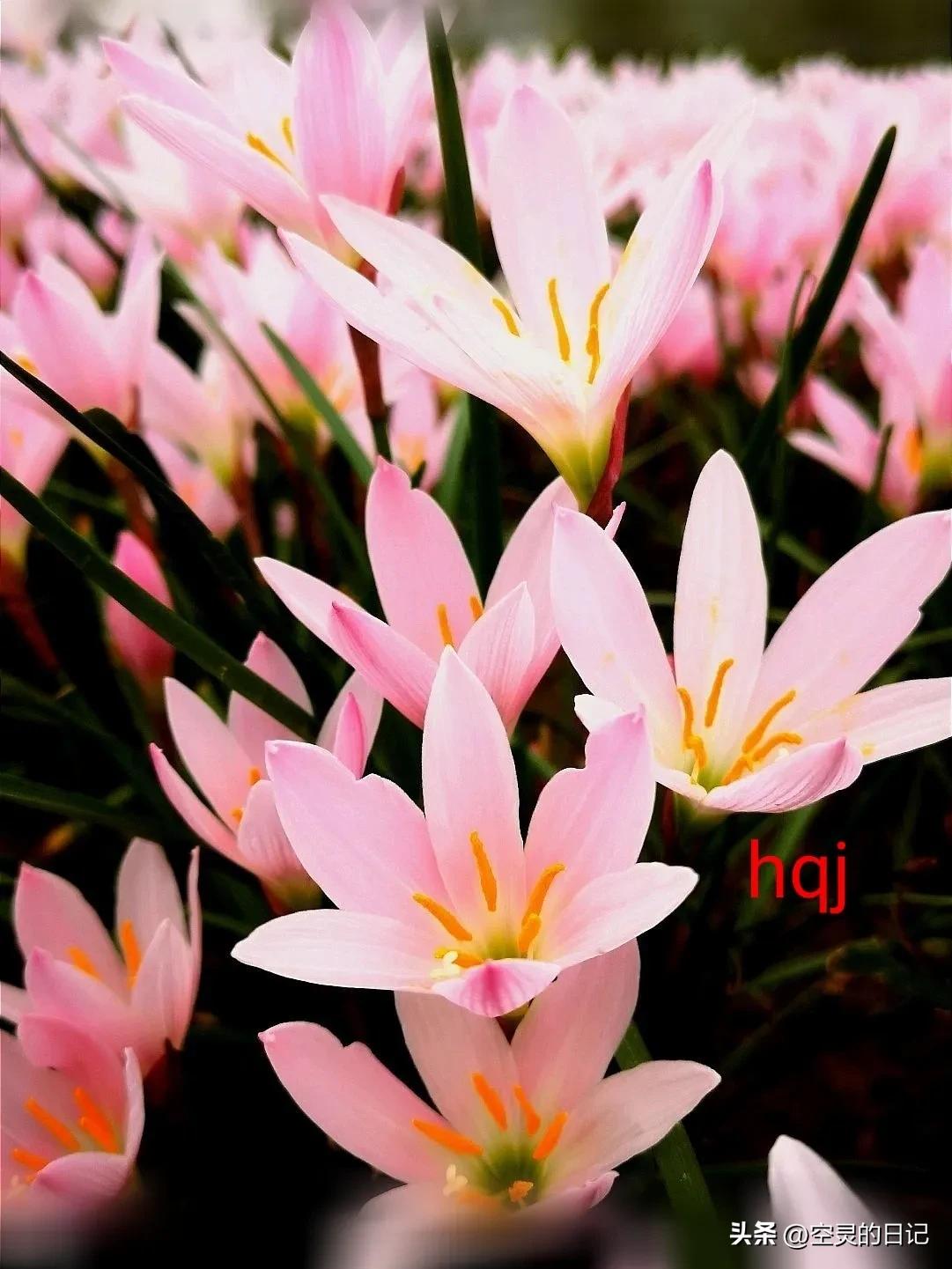 濡備綍鎵嶈兘鐪嬭浣犵殑瀹归,鎬庝箞鐪嬩綘鏄惁婕備寒