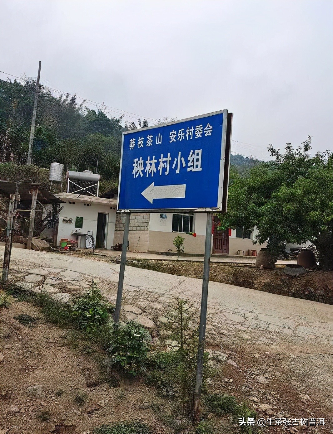 普洱茶好茶和普通普洱茶怎么区分,如何区分熟普洱和生普洱茶的区别