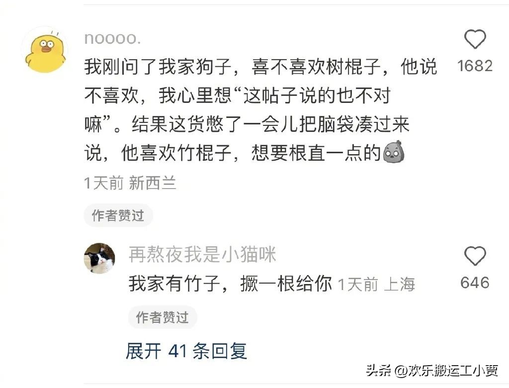 初中男生最喜欢什么礼物,男生最喜欢什么礼物