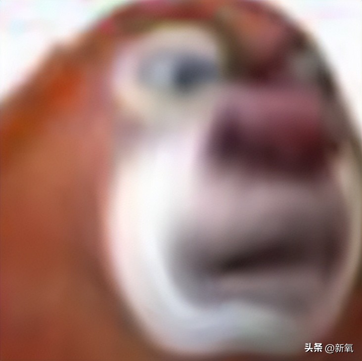 韩国女团服装又惹争议,韩国女团服装都是哪来的