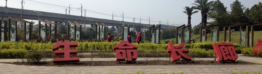 上海第一大人工湖在哪里,上海最值得打卡的公园