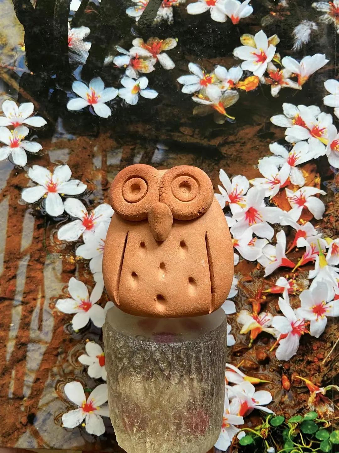 向明丨总有些无事生非的鸟事