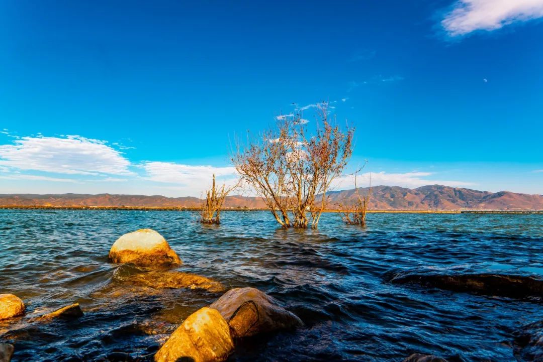 洱海选一个必须去的景点,洱海不建议去的景点图片