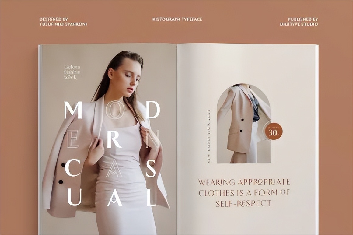 ttf纯英文好看字体,ttf英文字体