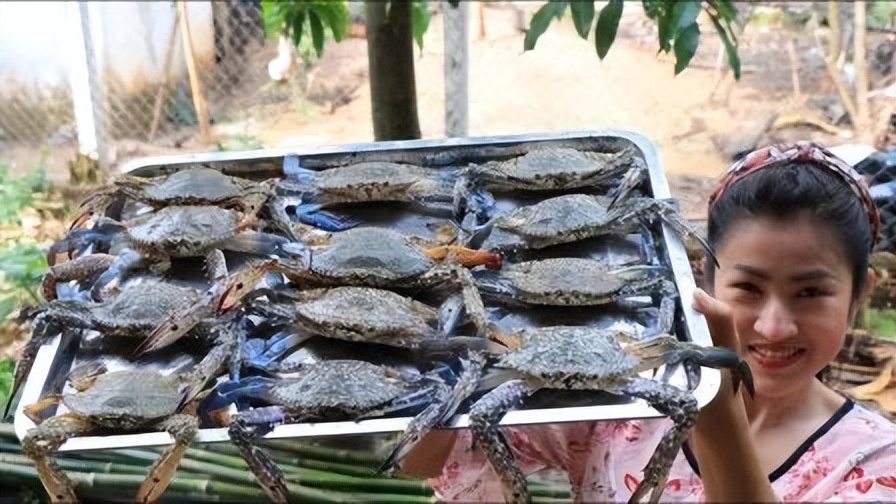 神奇柬埔寨,柬埔寨的神奇国度