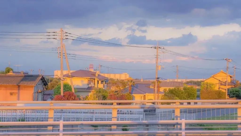 家乡的风俗包饺子600字六年级作文,家乡风俗作文六年级700个字下册