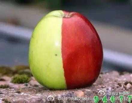 带你看世界奇闻异事,世界奇闻百态