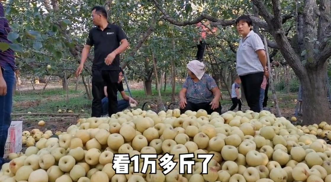 宿州不要再做安徽透明的城市，从这些方面来看，已有大城市的底子