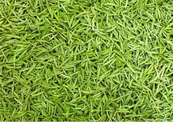 茶叶多少钱一两算是好茶,高档茶叶买什么茶好