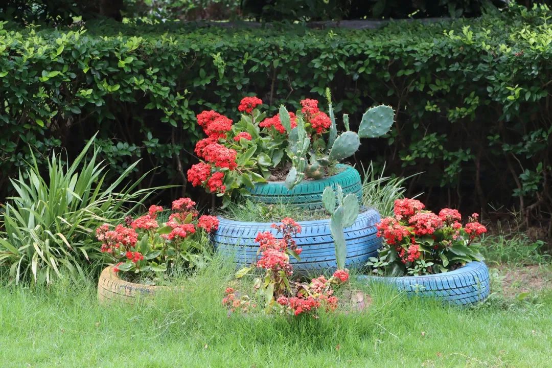 金科王府物业服务怎么样,金科王府小区品质