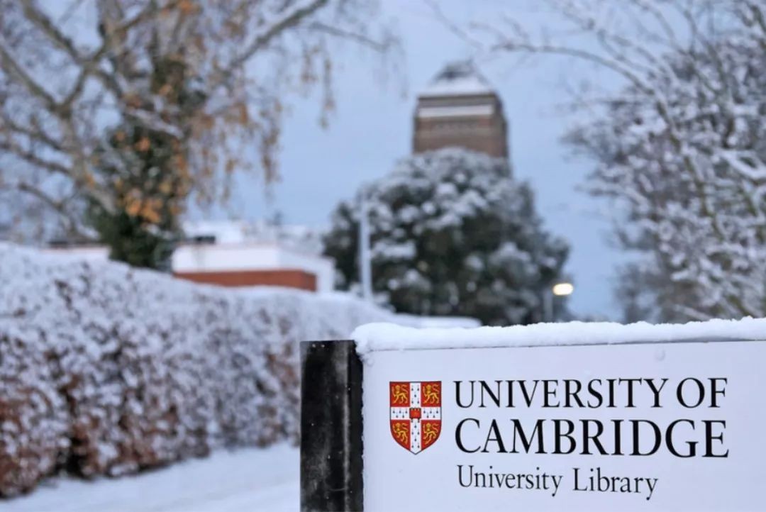 带大家看英国博物馆,英国大学最好图书馆