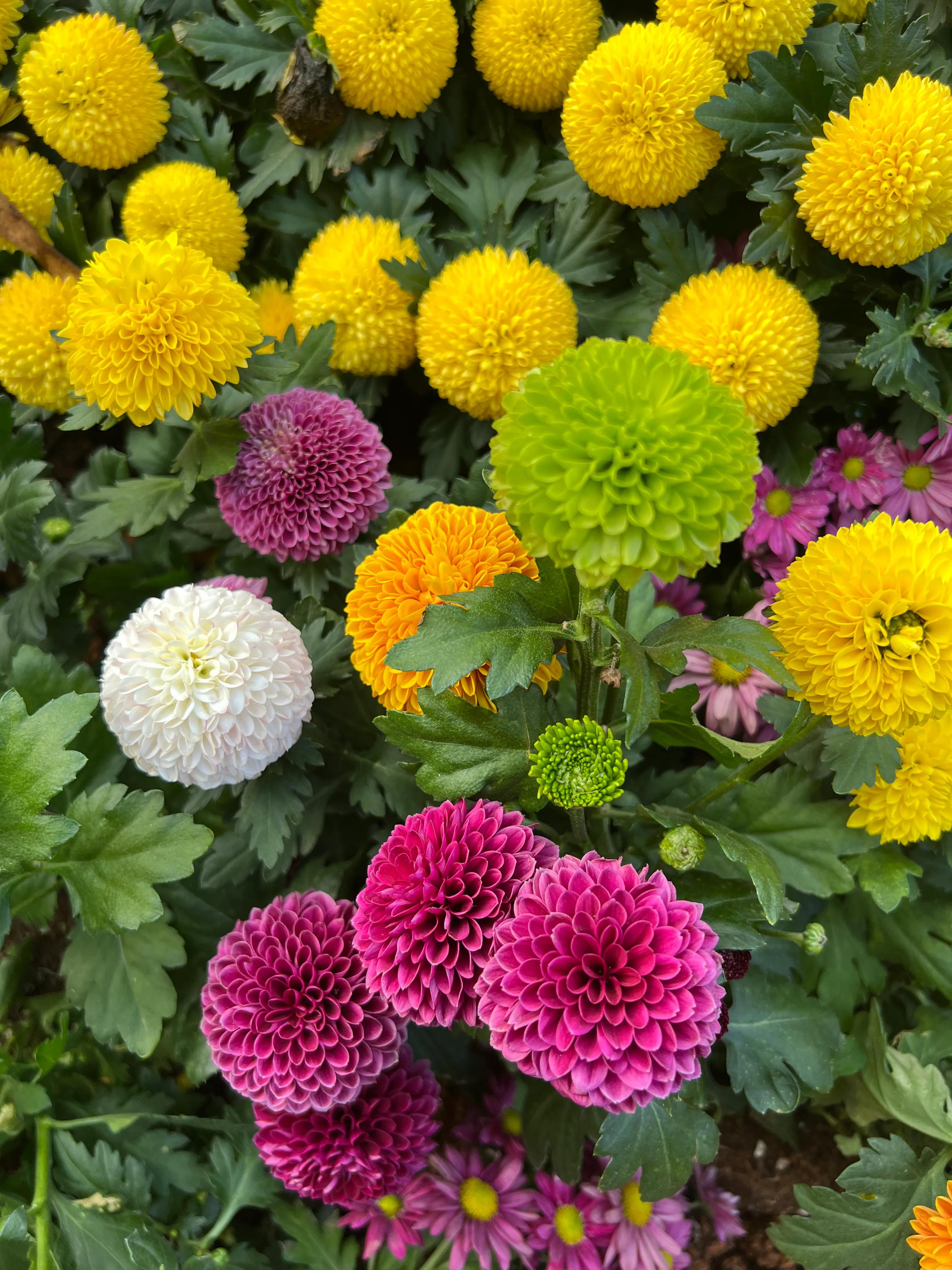 二十条负面清单,21条负面清单是哪些