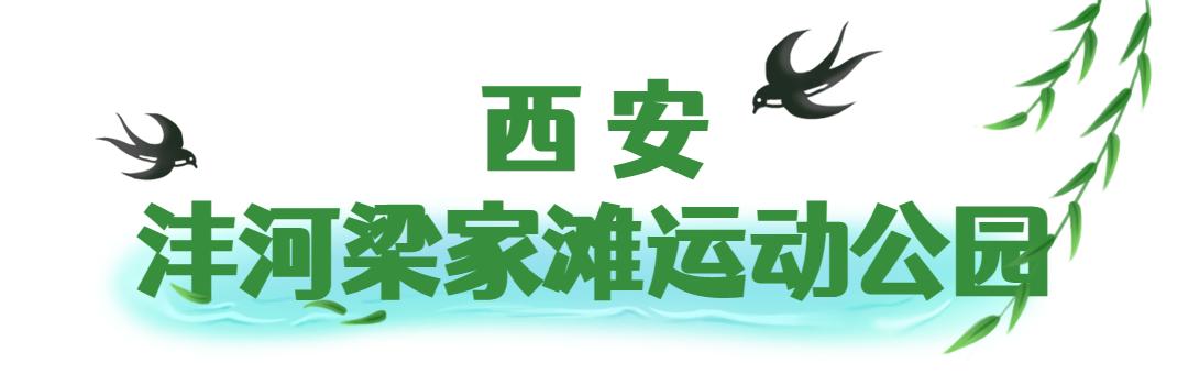 骑行打卡景点,湿地骑行观风景