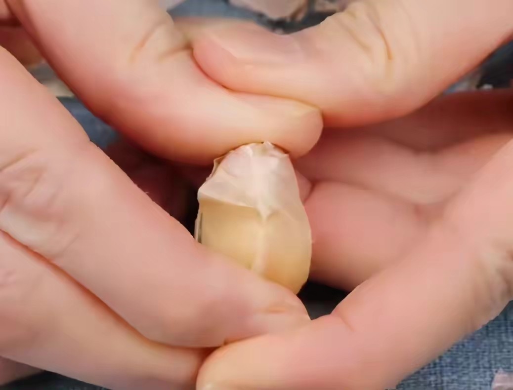 剥大蒜皮的方法,剥大蒜皮快速方法