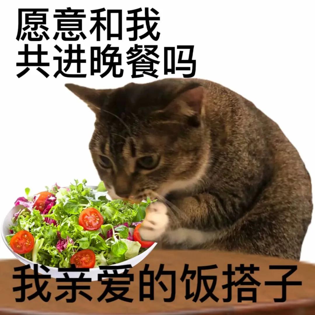 心里乱七八糟的表情包,搞笑图片沙雕表情包可保存