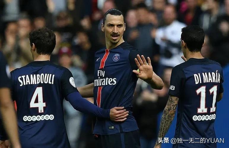 伊布最强一战,伊布战争