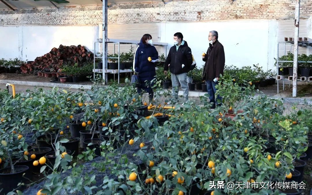 打造农特产品线上销售平台,蓟州农产品销售平台